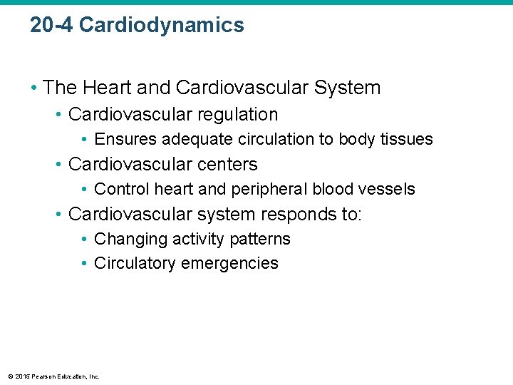 20 -4 Cardiodynamics • The Heart and Cardiovascular System • Cardiovascular regulation • Ensures