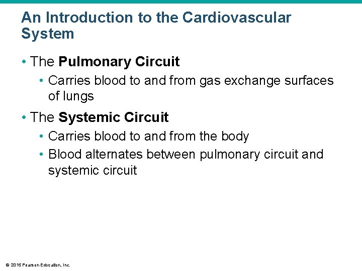 An Introduction to the Cardiovascular System • The Pulmonary Circuit • Carries blood to