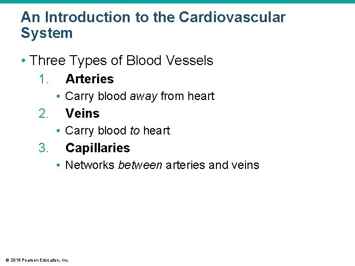 An Introduction to the Cardiovascular System • Three Types of Blood Vessels 1. Arteries