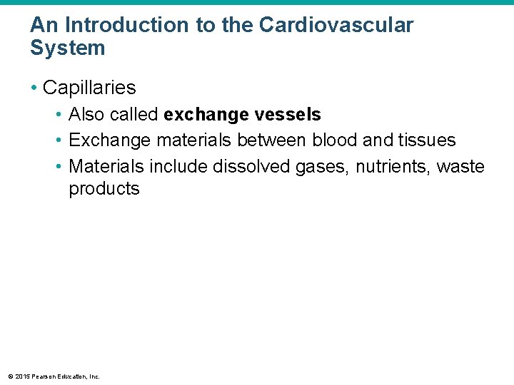 An Introduction to the Cardiovascular System • Capillaries • Also called exchange vessels •