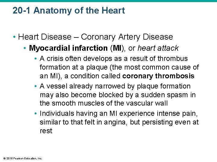 20 -1 Anatomy of the Heart • Heart Disease – Coronary Artery Disease •