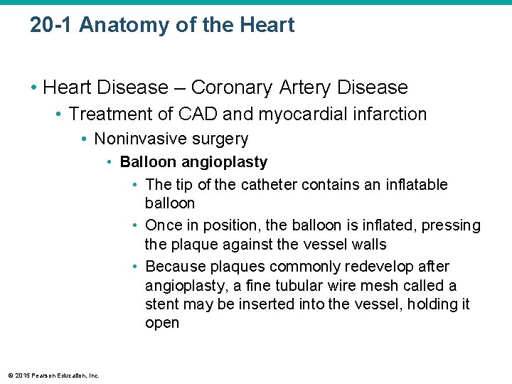 20 -1 Anatomy of the Heart • Heart Disease – Coronary Artery Disease •