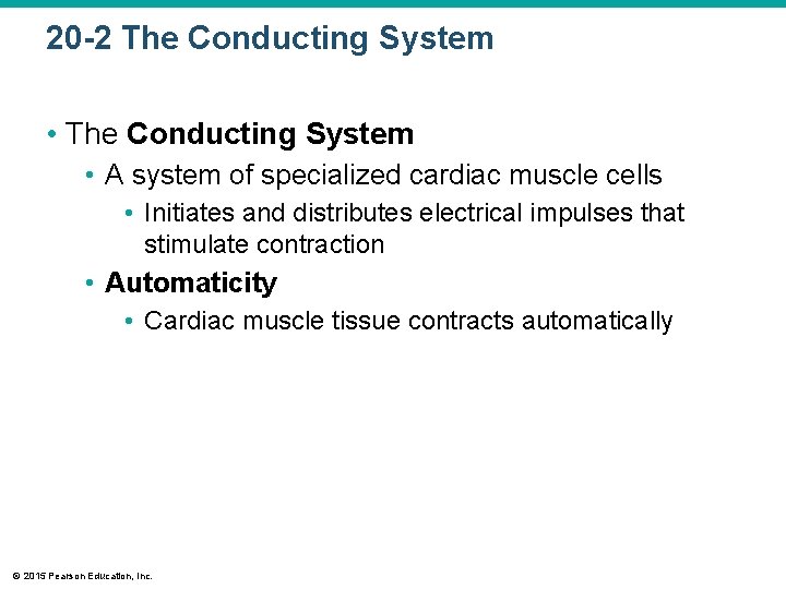 20 -2 The Conducting System • A system of specialized cardiac muscle cells •