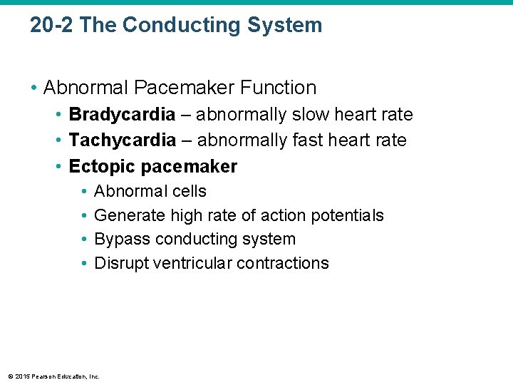 20 -2 The Conducting System • Abnormal Pacemaker Function • Bradycardia – abnormally slow