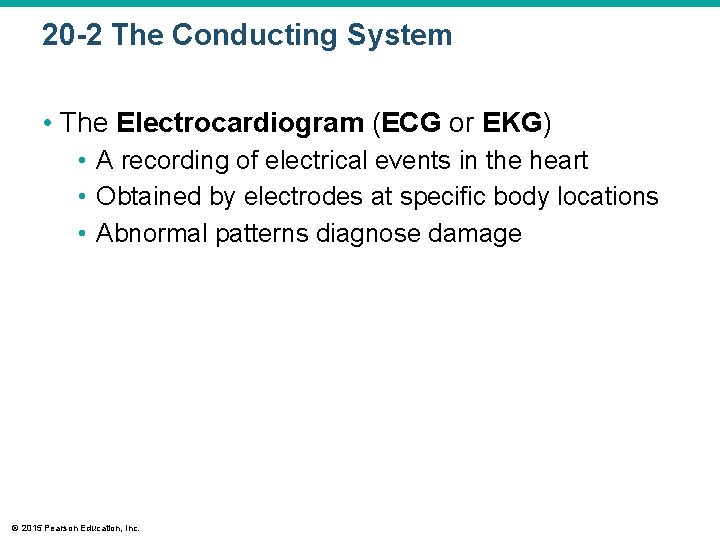 20 -2 The Conducting System • The Electrocardiogram (ECG or EKG) • A recording