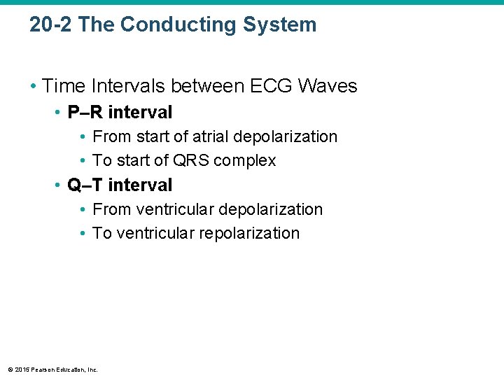 20 -2 The Conducting System • Time Intervals between ECG Waves • P–R interval