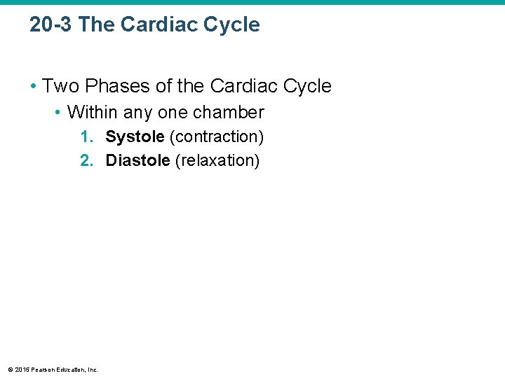 20 -3 The Cardiac Cycle • Two Phases of the Cardiac Cycle • Within