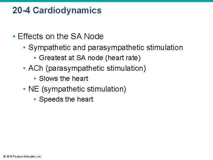 20 -4 Cardiodynamics • Effects on the SA Node • Sympathetic and parasympathetic stimulation