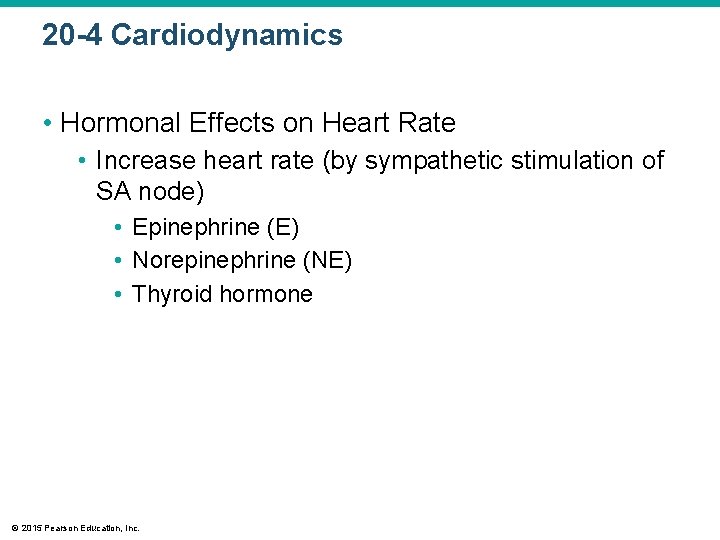 20 -4 Cardiodynamics • Hormonal Effects on Heart Rate • Increase heart rate (by