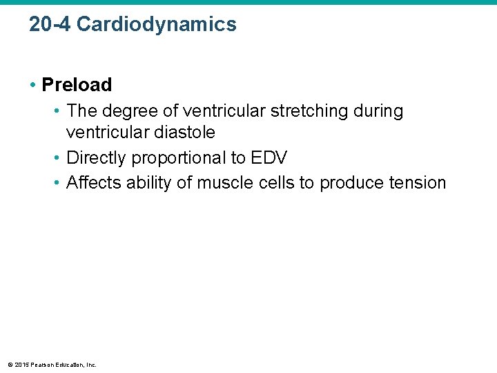 20 -4 Cardiodynamics • Preload • The degree of ventricular stretching during ventricular diastole