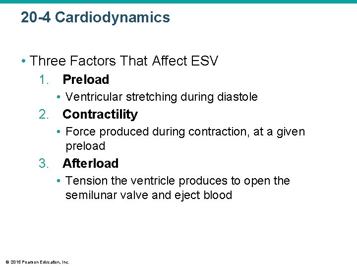 20 -4 Cardiodynamics • Three Factors That Affect ESV 1. Preload • Ventricular stretching