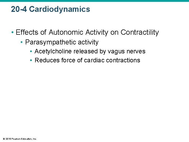 20 -4 Cardiodynamics • Effects of Autonomic Activity on Contractility • Parasympathetic activity •