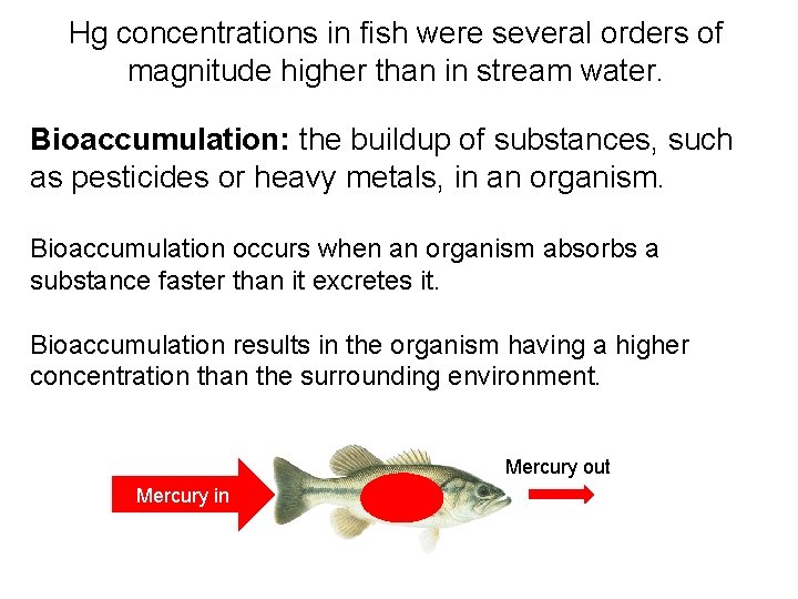 Hg concentrations in fish were several orders of magnitude higher than in stream water.