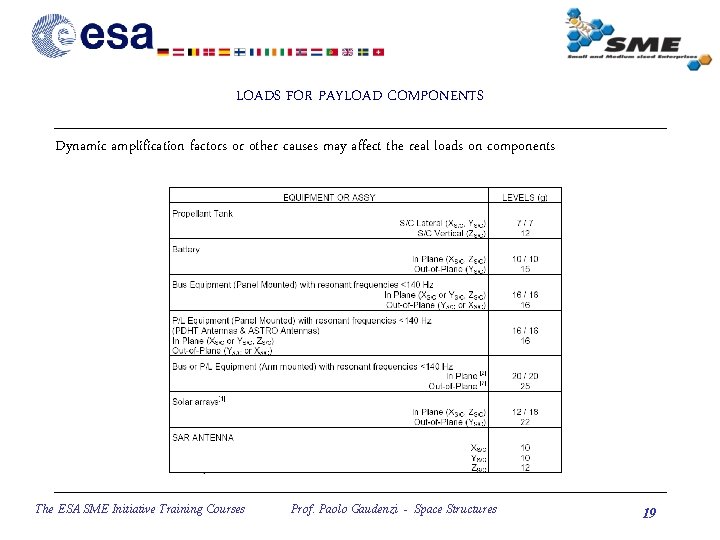 LOADS FOR PAYLOAD COMPONENTS Dynamic amplification factors or other causes may affect the real