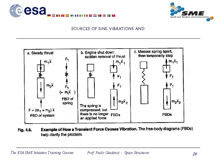 SOURCES OF SINE VIBRATIONS AND The ESA SME Initiative Training Courses Prof. Paolo Gaudenzi
