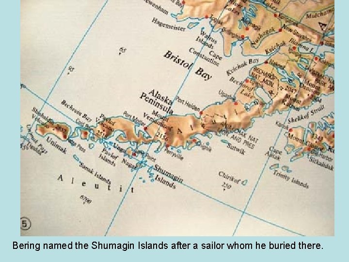 Bering named the Shumagin Islands after a sailor whom he buried there. 