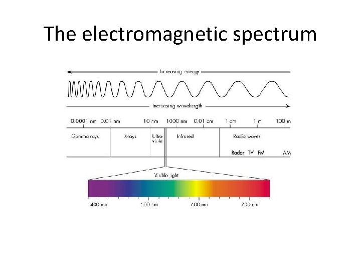 The electromagnetic spectrum 
