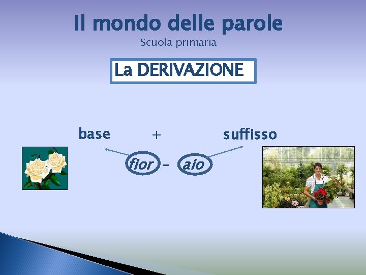 Il mondo delle parole Scuola primaria La DERIVAZIONE base + fior - aio suffisso