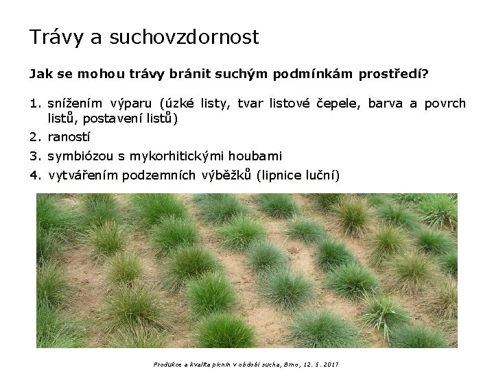 Trávy a suchovzdornost Jak se mohou trávy bránit suchým podmínkám prostředí? 1. snížením výparu