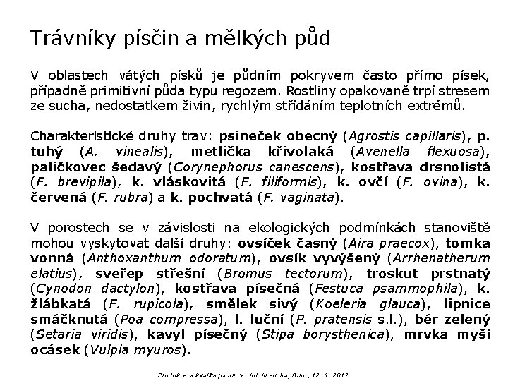 Trávníky písčin a mělkých půd V oblastech vátých písků je půdním pokryvem často přímo