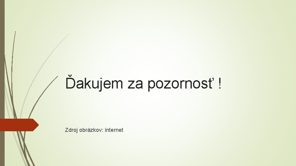 Ďakujem za pozornosť ! Zdroj obrázkov: internet 