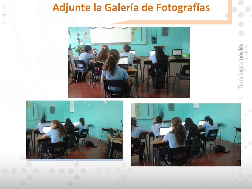 Adjunte la Galería de Fotografías 