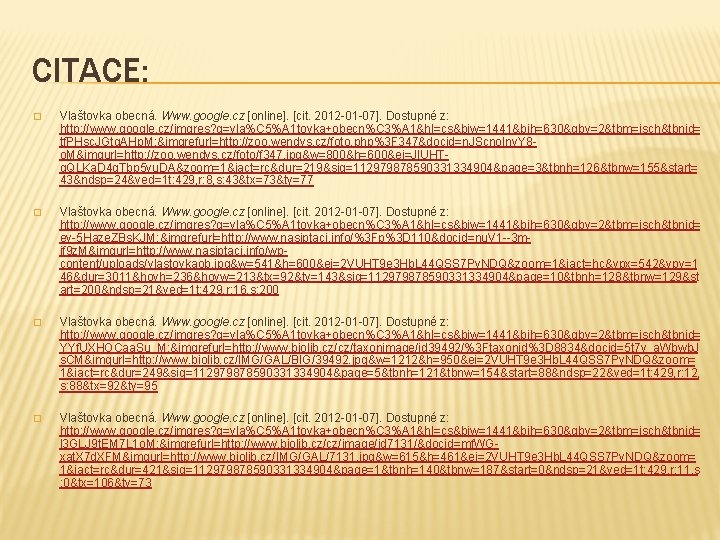 CITACE: � Vlaštovka obecná. Www. google. cz [online]. [cit. 2012 -01 -07]. Dostupné z: