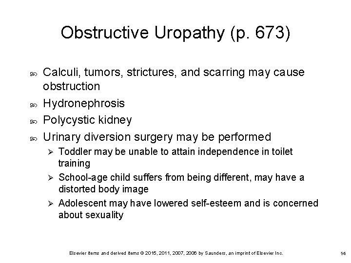 Obstructive Uropathy (p. 673) Calculi, tumors, strictures, and scarring may cause obstruction Hydronephrosis Polycystic Obstructive Uropathy (p. 673) Calculi, tumors, strictures, and scarring may cause obstruction Hydronephrosis Polycystic