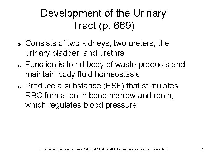Development of the Urinary Tract (p. 669) Consists of two kidneys, two ureters, the Development of the Urinary Tract (p. 669) Consists of two kidneys, two ureters, the