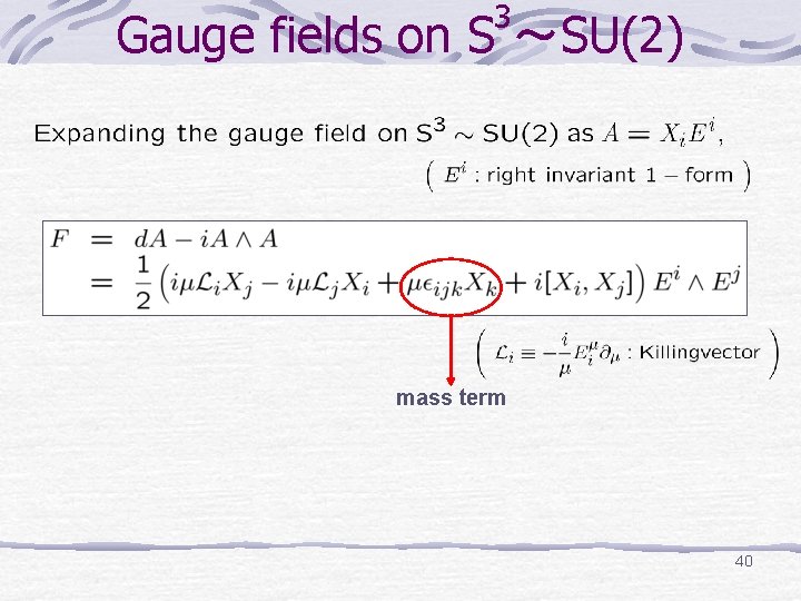 3 Gauge fields on S ～SU(2) mass term 40 