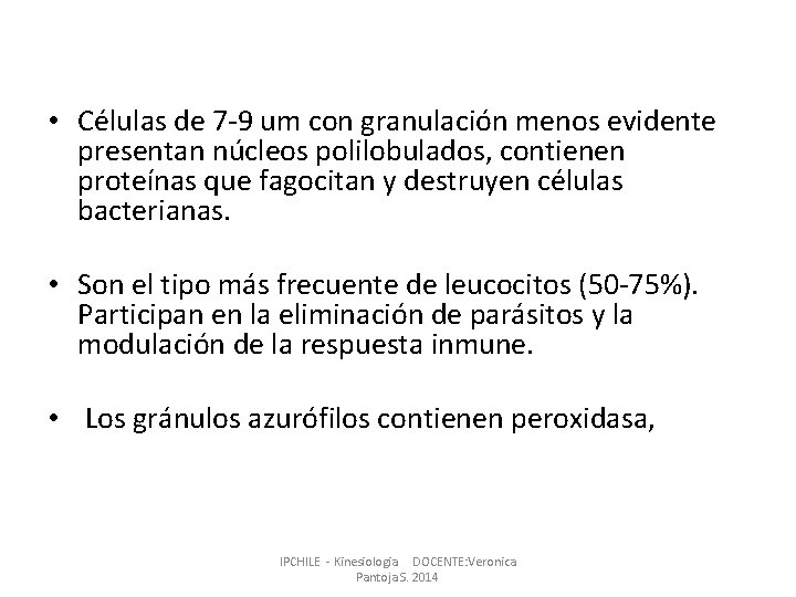 • Células de 7 -9 um con granulación menos evidente presentan núcleos polilobulados, • Células de 7 -9 um con granulación menos evidente presentan núcleos polilobulados,