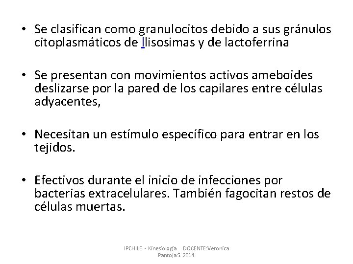 • Se clasifican como granulocitos debido a sus gránulos citoplasmáticos de llisosimas y • Se clasifican como granulocitos debido a sus gránulos citoplasmáticos de llisosimas y