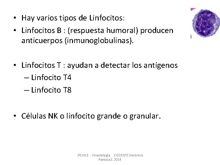 • Hay varios tipos de Linfocitos: • Linfocitos B : (respuesta humoral) producen • Hay varios tipos de Linfocitos: • Linfocitos B : (respuesta humoral) producen
