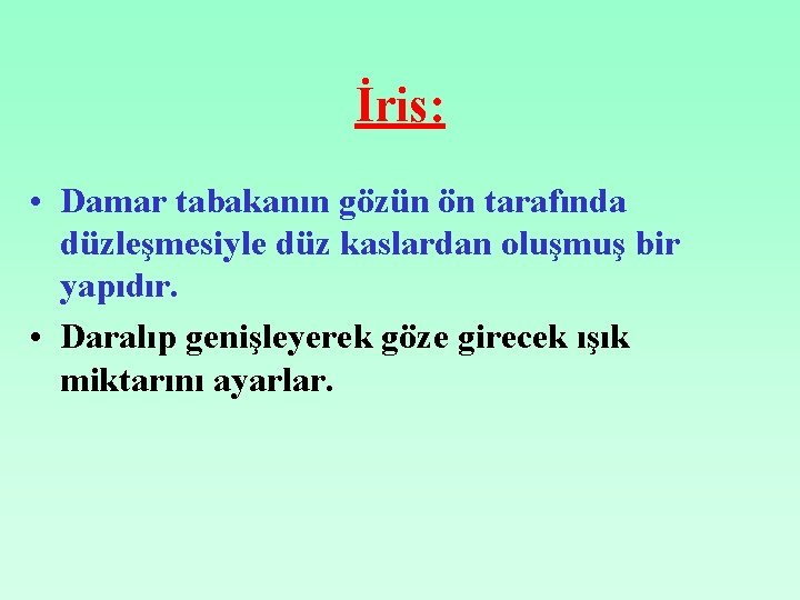 İris: • Damar tabakanın gözün ön tarafında düzleşmesiyle düz kaslardan oluşmuş bir yapıdır. •