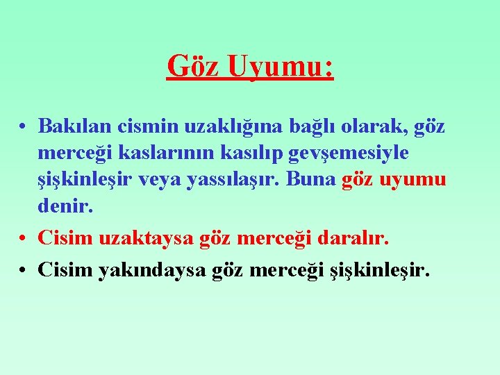 Göz Uyumu: • Bakılan cismin uzaklığına bağlı olarak, göz merceği kaslarının kasılıp gevşemesiyle şişkinleşir