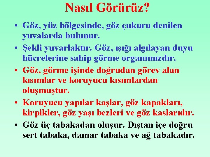 Nasıl Görürüz? • Göz, yüz bölgesinde, göz çukuru denilen yuvalarda bulunur. • Şekli yuvarlaktır.