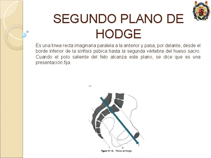 SEGUNDO PLANO DE HODGE Es una línea recta imaginaria paralela anterior y pasa, por