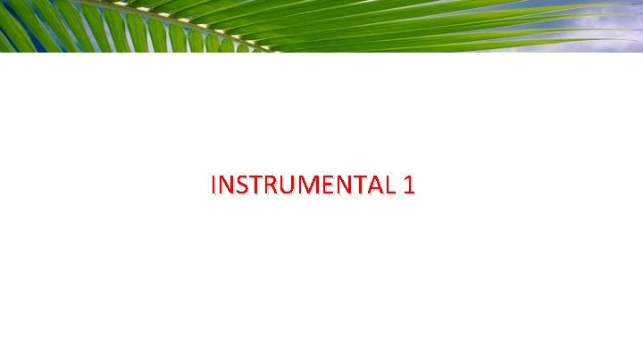 INSTRUMENTAL 1 