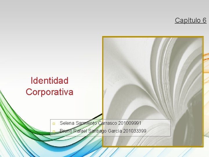Capítulo 6 Identidad Corporativa Selena Sarmiento Carrasco 201009991 Bruno Rafael Santiago García 201033399 