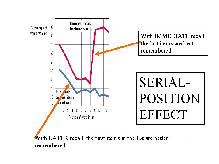 With IMMEDIATE recall, the last items are best remembered. SERIALPOSITION EFFECT With LATER recall,