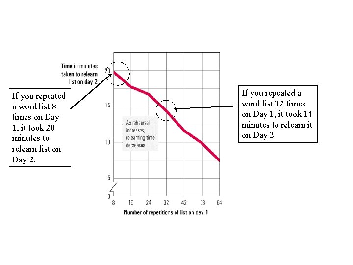 If you repeated a word list 8 times on Day 1, it took 20