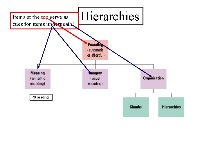 Items at the top serve as cues for items underneath! P 9 reading Hierarchies