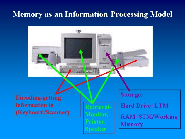 Memory as an Information-Processing Model Encoding-getting information in (Keyboard/Scanner) Storage: Retrieval. Monitor, Printer, Speaker