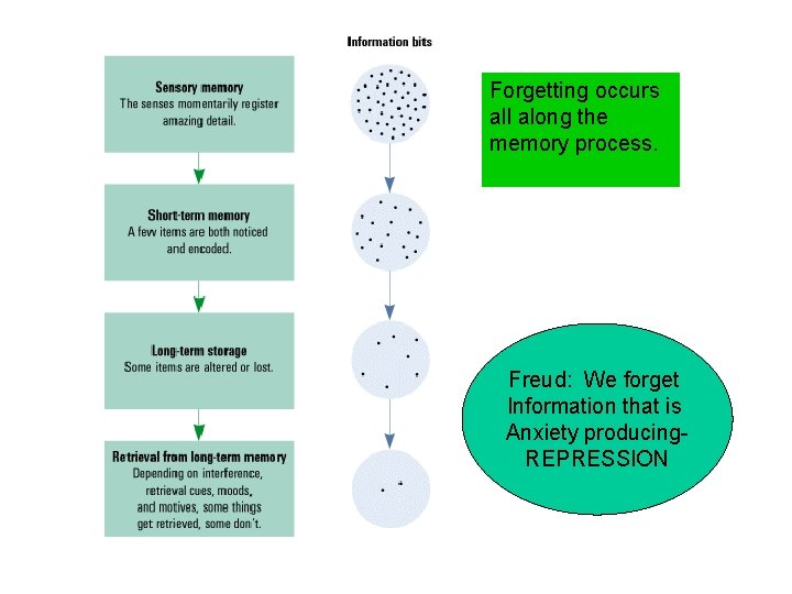 Forgetting occurs all along the memory process. Freud: We forget Information that is Anxiety