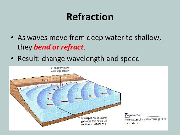 Refraction • As waves move from deep water to shallow, they bend or refract.