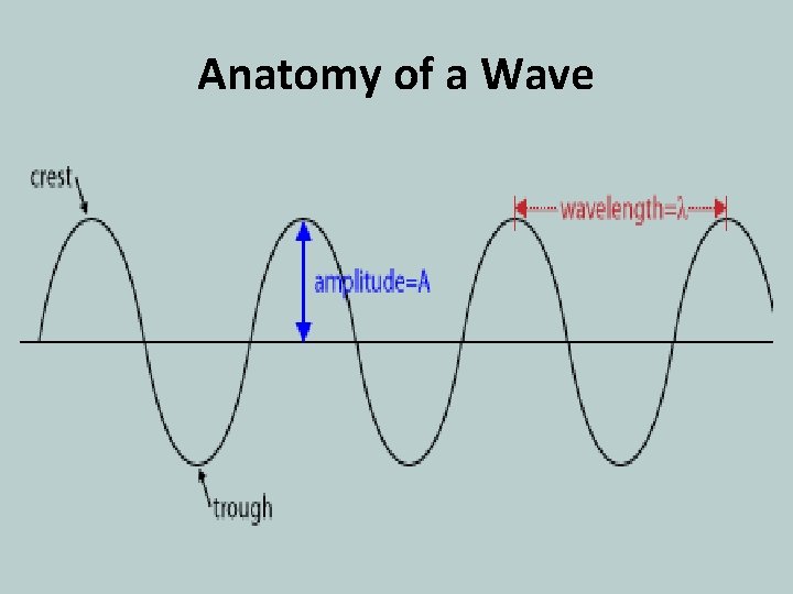 Anatomy of a Wave 