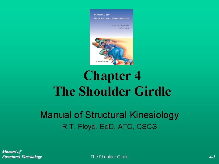 Chapter 4 The Shoulder Girdle Manual of Structural Kinesiology R. T. Floyd, Ed. D,