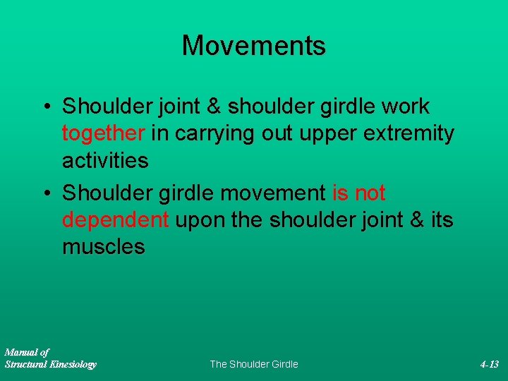 Movements • Shoulder joint & shoulder girdle work together in carrying out upper extremity