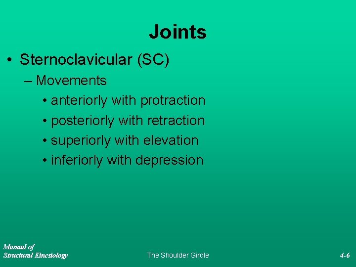 Joints • Sternoclavicular (SC) – Movements • anteriorly with protraction • posteriorly with retraction
