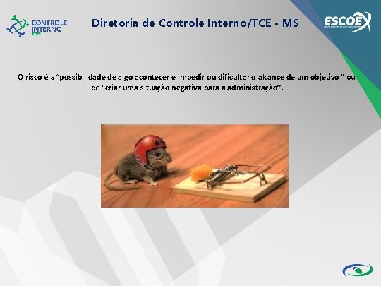 Diretoria de Controle Interno/TCE - MS O risco é a “possibilidade de algo acontecer